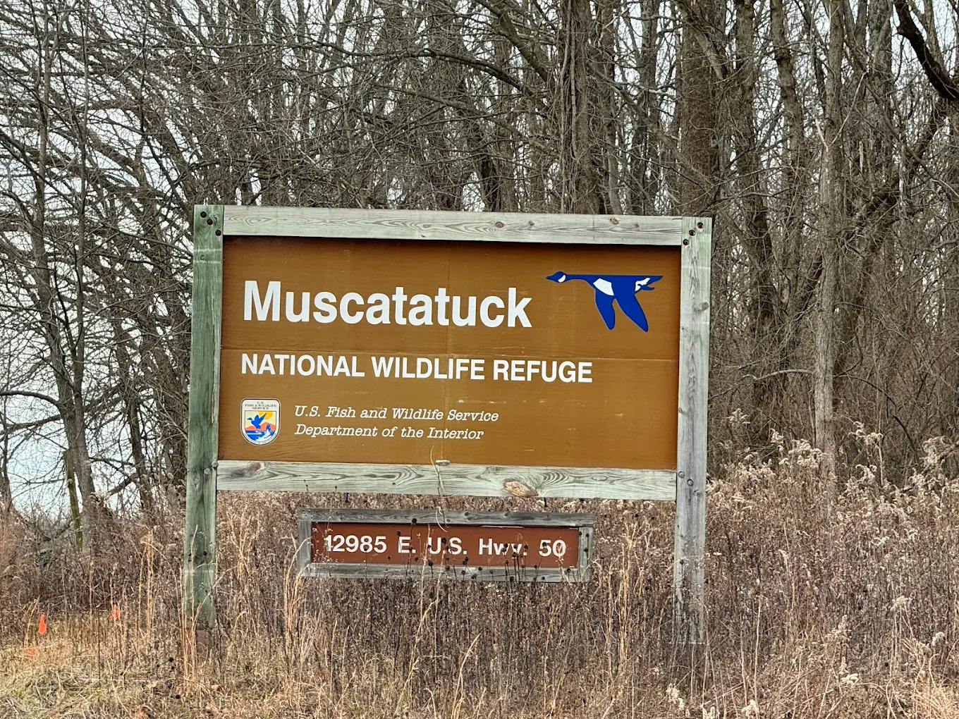 There’s A Giant Bald Eagle Nest You Can See From A Public Trail
