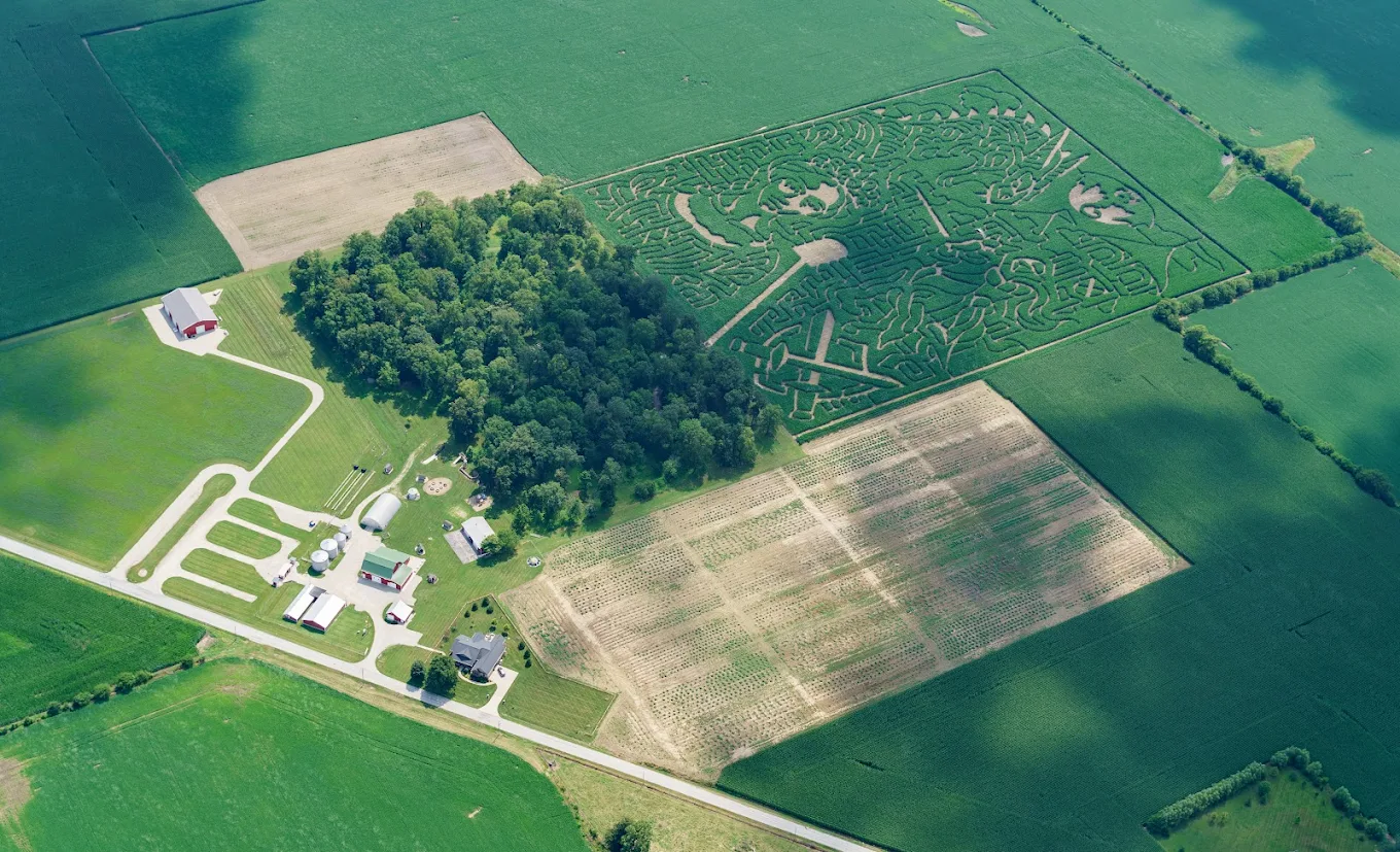 A Massive Corn Maze You Can Only Conquer With A Map And A Snack