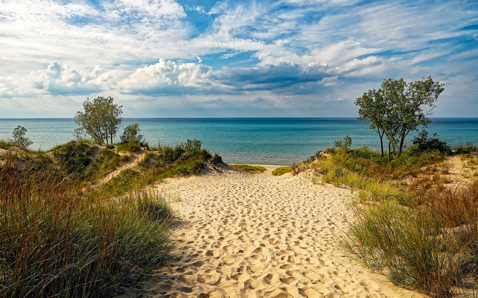 Few People Know There’s a Hidden Beach Like This Tucked Away in Northern Indiana