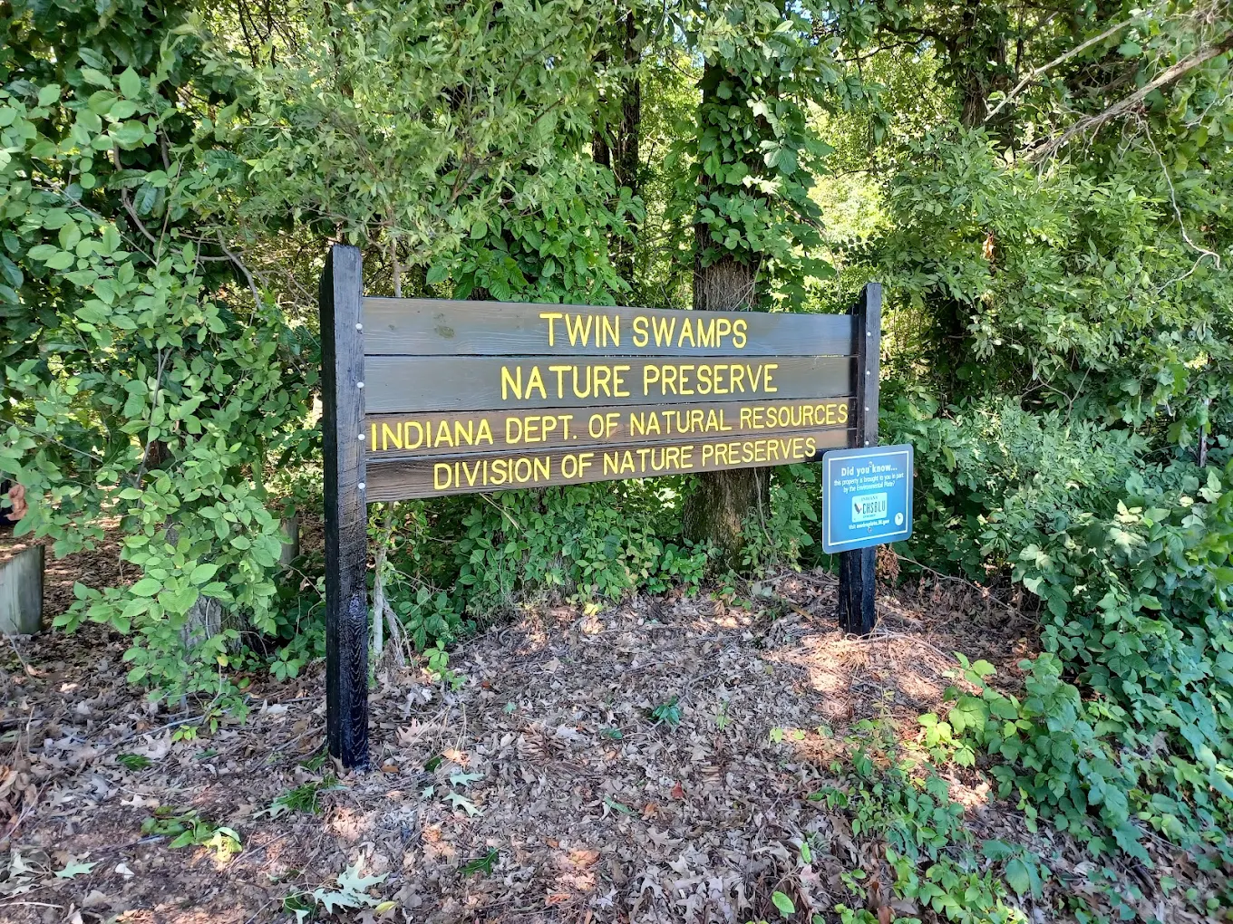 You Can Hike Through A Forest Of Rare Cypress Trees In This Indiana Wetland