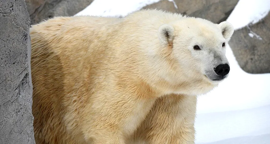 The Twin Cities Zoo That’s Quietly One of the Best in the Midwest