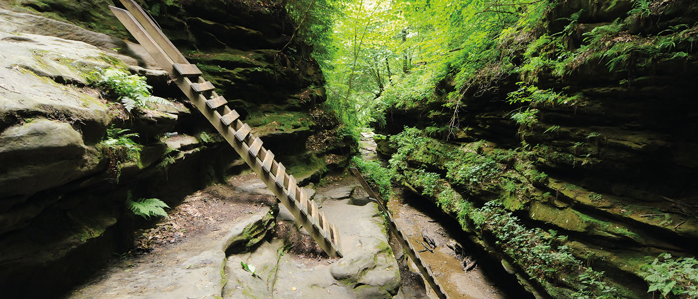 This Indiana Gorge Trail Involves Ladders, Boulders, and a Creek Cold Enough to Keep You Honest